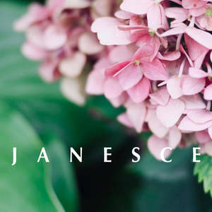 Gift Vouchers: Janesce Facial Gift Voucher