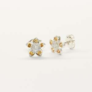 Silver And Gemstone Earrings: Mountain buttercup studs