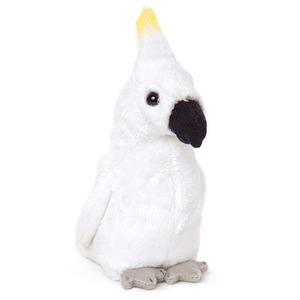 Products: Wild Camille Cockatoo