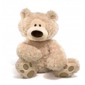Timeless Teddies