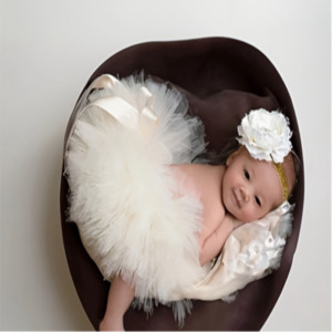 Dresses Tutus Accessories: Tutu Skirt and Flower Headband Set