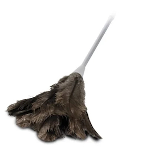 Feather Duster ? Large