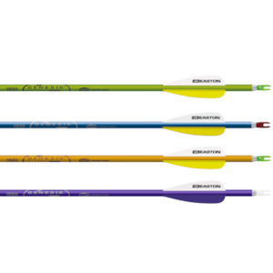 Kids: Easton Genesis 1820 Arrows