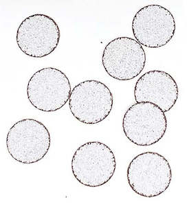 G5 Outdoors: G5 ASD Flip Repl Pads