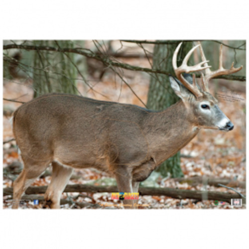 Nice Targets: Nice Target Deer Broadside