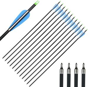 1: Topoint Carbon Arrows