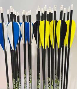 Victory VAP Junior Target Arrow - Pre Made -Feathers