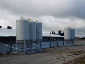 Smart Silo SS14 (9t Meal) - Feed System Silo