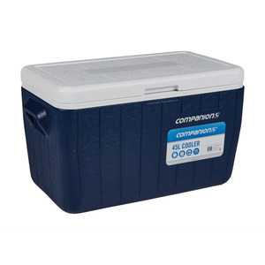 Fridges Coolers: Companion 45L Chest Cooler
