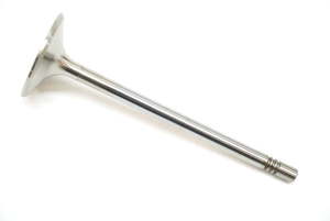 Exhaust valve