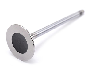 Engine cylinder head exhaust valve
