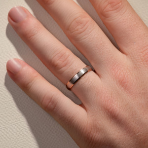 4.00MM Two Tone Low Half Round w/ a Brushed Centre Polished Edges Wedding Ring