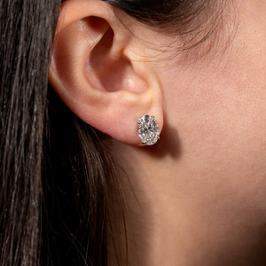 Oval Diamond Stud Earrings (Total 5.00ct)