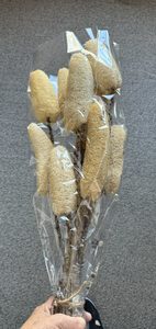 Products: Luffa w Twig Stem 60cm 10pcs - A Floral Affair