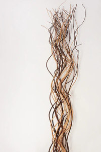Products: Natural Curly Twigs 155cm - A Floral Affair