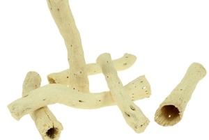 Products: Pepe cones Large 50 in pack 12-20cm long - A Floral Affair