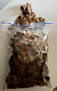 Rosewood Seed 150gram bag - A Floral Affair