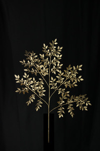 Products: Italian ruscus with 5 leaf sprays AF Gold - A Floral Affair