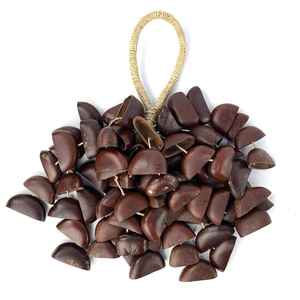 Juju Rattle African Drumming NZ