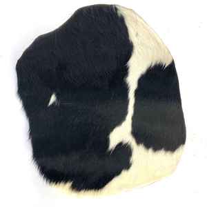 Cow discs for Duns African Drumming NZ