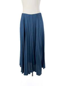 Maxi Skirts: Zara - Navy Midi Skirt (Size S)