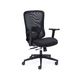 Ava Mesh Back Chair