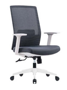 Home Office Chairs: Cloud 2.0 Mesh Chair