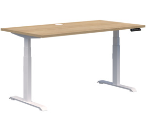 Standing Desks: Summit II Electric Single Desk