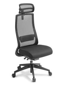 Mesh Back Chairs: EDEN Joe With Headrest
