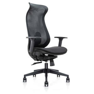 Mesh Back Chairs: Cygnet Mesh Chair