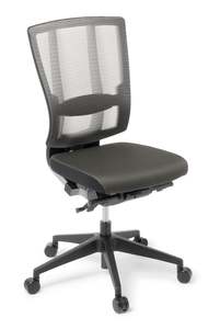 Mesh Back Chairs: Cloud Ergo Mesh Chair