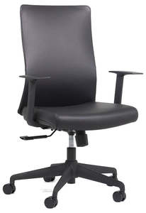 Leather Office Chairs: Blade Leather Chair