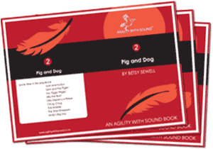 Level 2 senior book selection with comprehension booklets - Agility With Sound
