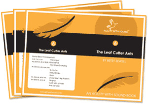 Level 6 teacher version book set - Agility With Sound