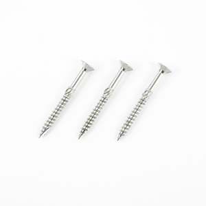 TYPE 17 BUGLE BATTEN SCREWS