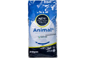 Animal Nutrition: Animal+
