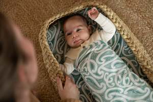 Aho Pepi: Kōtuituia Wrap, Hīnātore