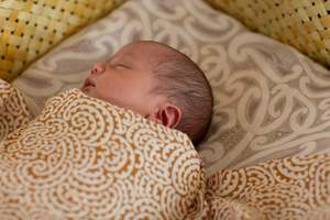 Aho Pepi: Te Pūtake Wrap, Pākākā