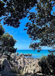 First event of the summer: Run, Yoga & Matcha Mingle