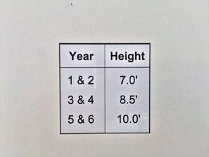 Decal – Year / Height