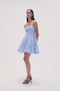 Mini Dresses: Evangeline Mini Dress