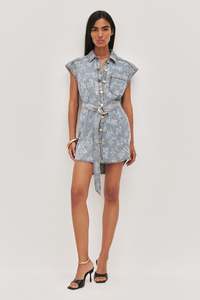Cary Denim Mini Dress