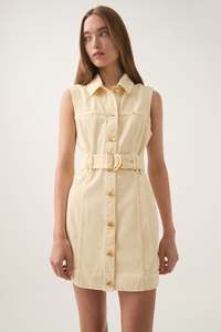 Ray Denim Mini Dress