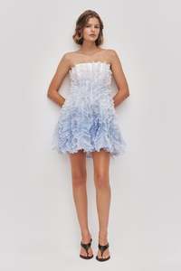 Mini Dresses: Temperance Mini Dress