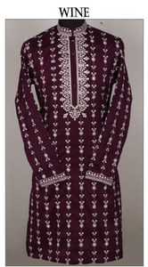 Men's Festive Wear Kurta