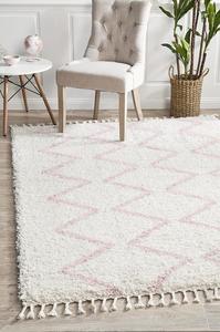 Roomvo: Lily Pink Fringed Rug