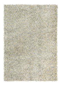 Young 061807 Wool Shaggy Rugs in Multi by Brink and Campman