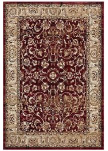 Royal: Power loomed Royal Red King Garden Rug-527