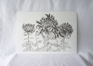 Products: Large Chrysanthemum Print