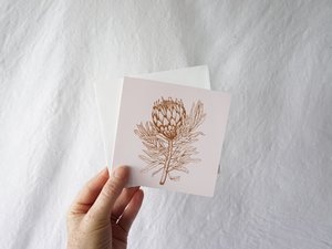 Products: Protea Postcard